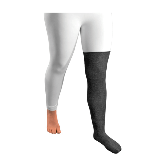 Solaris - Silverliner