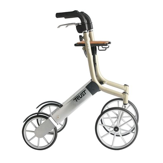 Let's Go Out Outdoor Walker