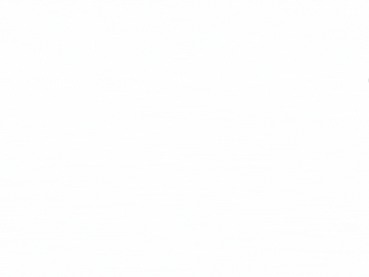 Garry the Gecko on Walkies 1200x900px.gif